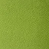 Kunstleder Matt Apfelgrün - 140x50 cm gerollt