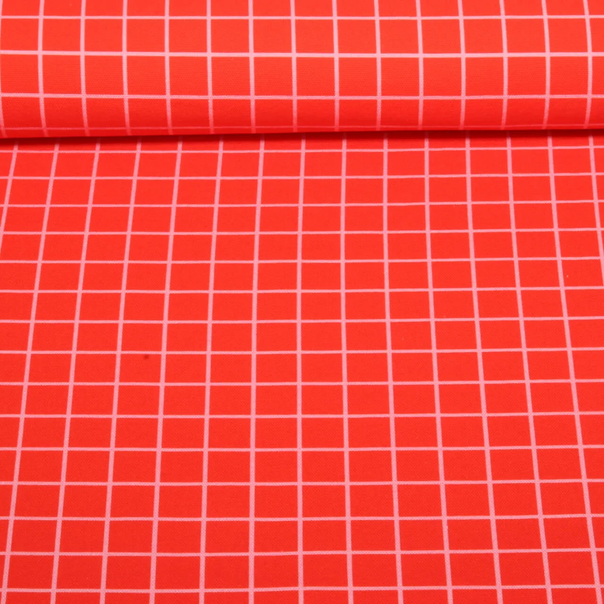 Bio Canvas "Beetles & Bugs" Grids Rot