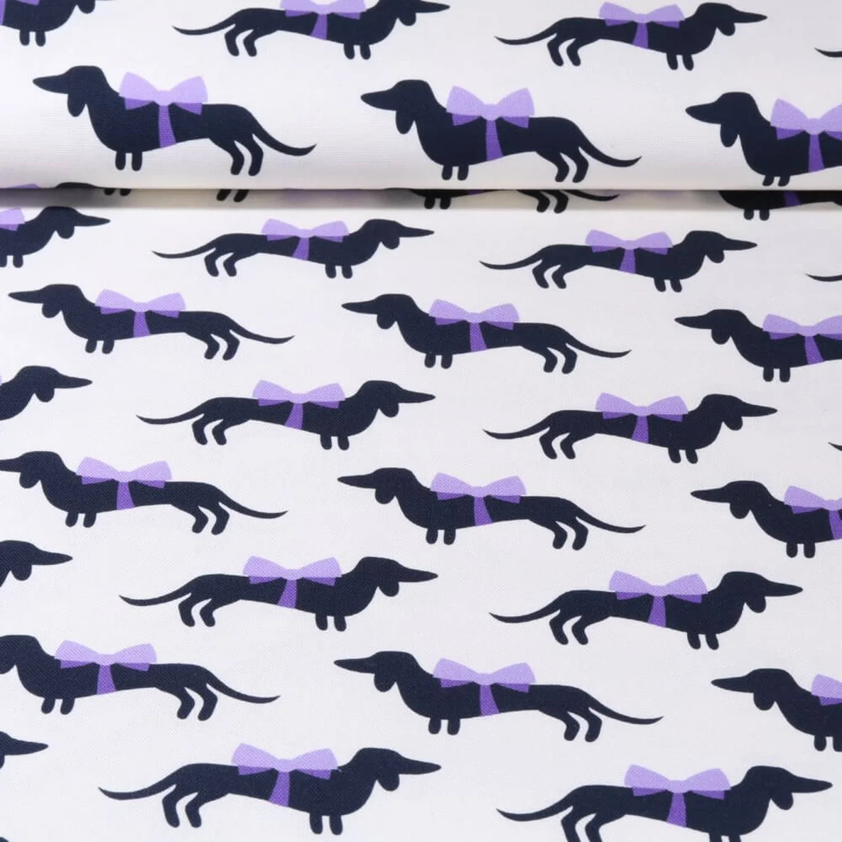 Bio Canvas "Wiener Dog" Weiß