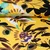 Baumwollsatin Stretch Blumen Gelb