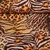 Canvas Leo Mix Orange
