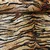 Kuschelfleece Doubleface Tiger