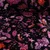 Samt Jersey Paisley Schwarz Fuchsia