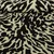 Viskose Popeline Bambus Tiger Beige